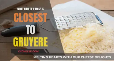 Cheese Substitutes: Gruyere Alternatives for Your Next Dish