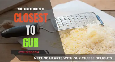 Cheese and Gur: Exploring Similarities and Differences