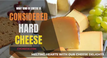 Hard Cheeses: Exploring the Diverse World of Hard Cheeses