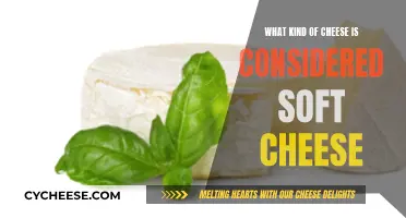 Soft Cheese: What Types Are Considered Soft?