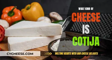 The Mystery of Cotija Cheese: A Mexican Treat