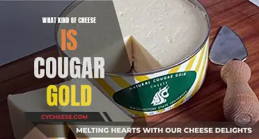 Cougar Gold Cheese: A Unique, Flavorful Cheese Experience