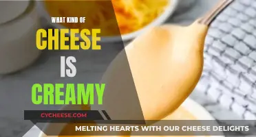 Creamy Cheese: Exploring the World of Rich, Soft Cheeses