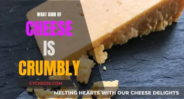 The Crumbly Cheese Conundrum: Types and Textures Explored