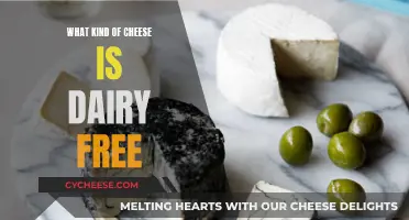 Dairy-Free Delights: Exploring Non-Dairy Cheeses