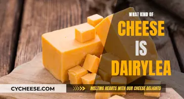 Dairylea: A Unique Cheese Blend for Kids