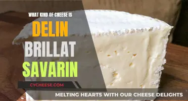 Delin Brillat Savarin: A Rich, Creamy Cheese Experience