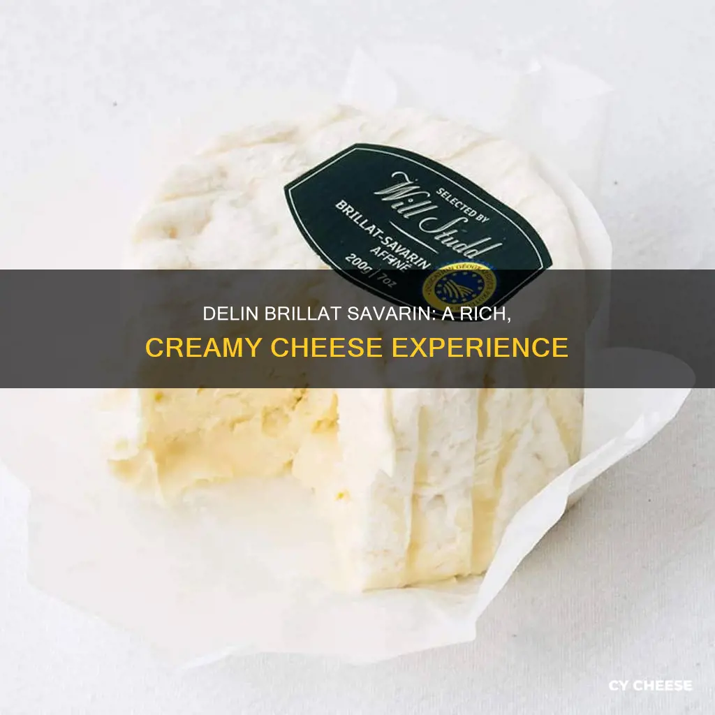 what kind of cheese is delin brillat savarin