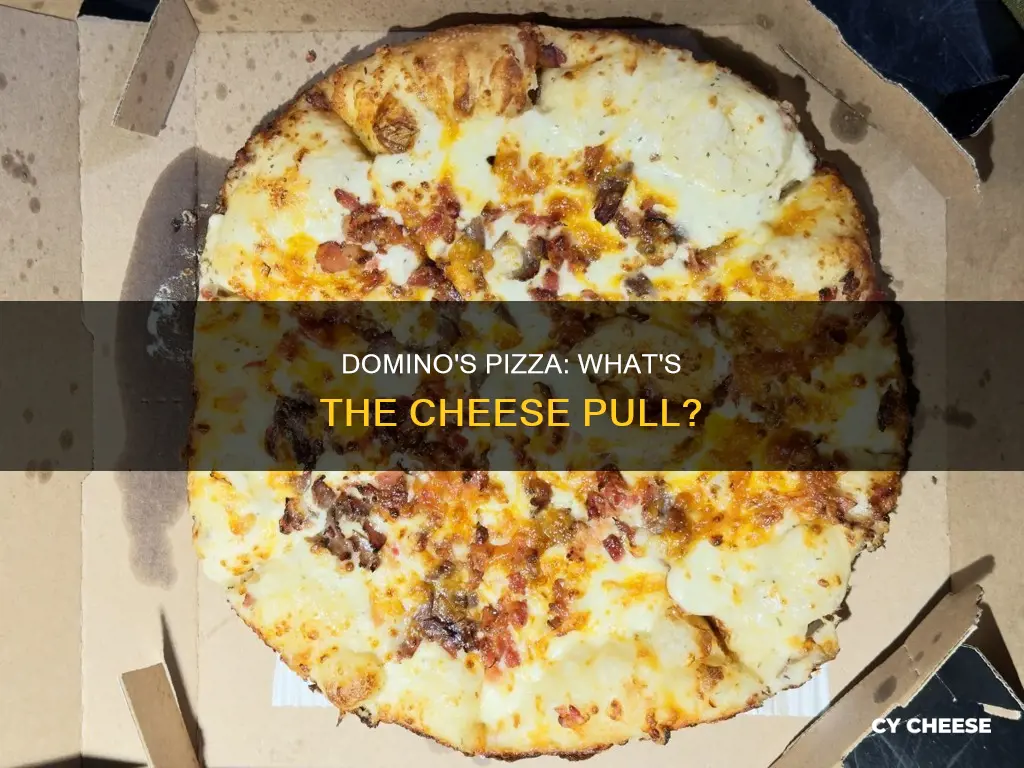 what kind of cheese is dominos pizza