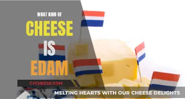 Edam Cheese: A Dutch Treat with a Unique Taste