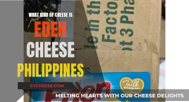 Philippine Favorite: Eden Cheese, a Unique Blend?