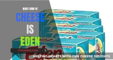 The Cheese Eden: A Unique and Delicious Experience