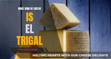 The Unique Taste of El Trigal Cheese Explained