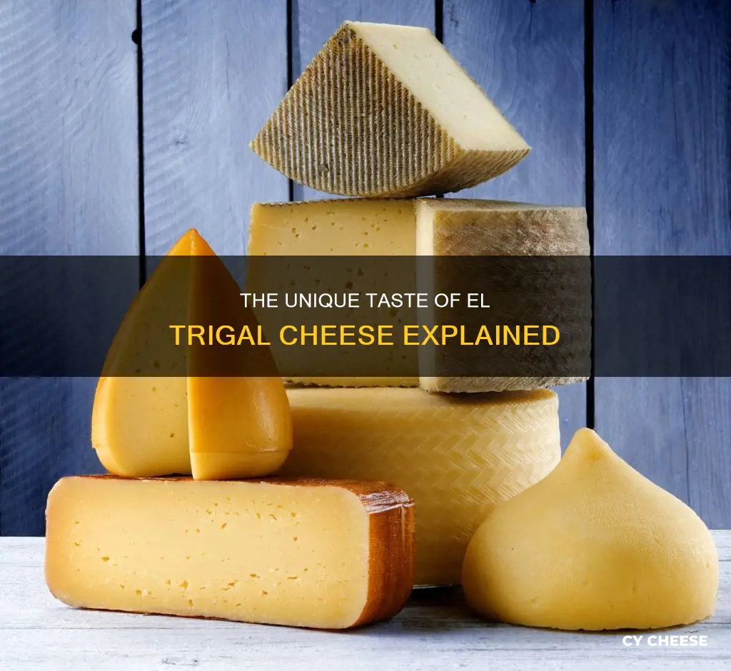 what kind of cheese is el trigal