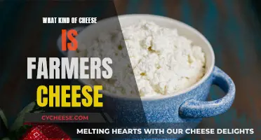 Farmer's Cheese: A Fresh, Soft Cheese Delicacy