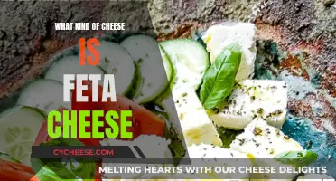 Feta Cheese: Its Unique Characteristics and Origins