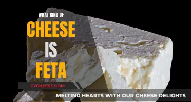 Feta Cheese: Its Origins, Types, and Uses