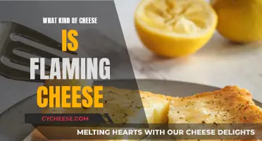 Flaming Cheese: What Kind of Cheese is This?