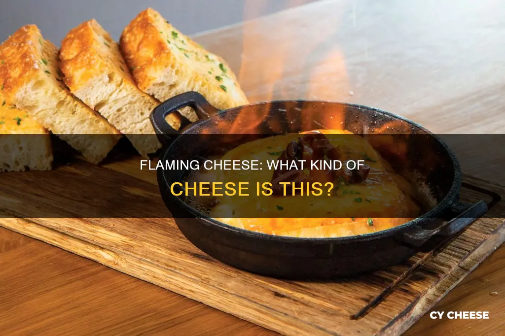 what kind of cheese is flaming cheese