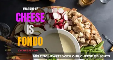 Fondo Cheese: A Unique Blend of Italian Cheeses