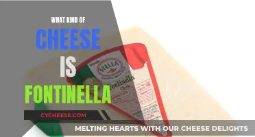 The Unique, Mild Flavor of Fontinella Cheese