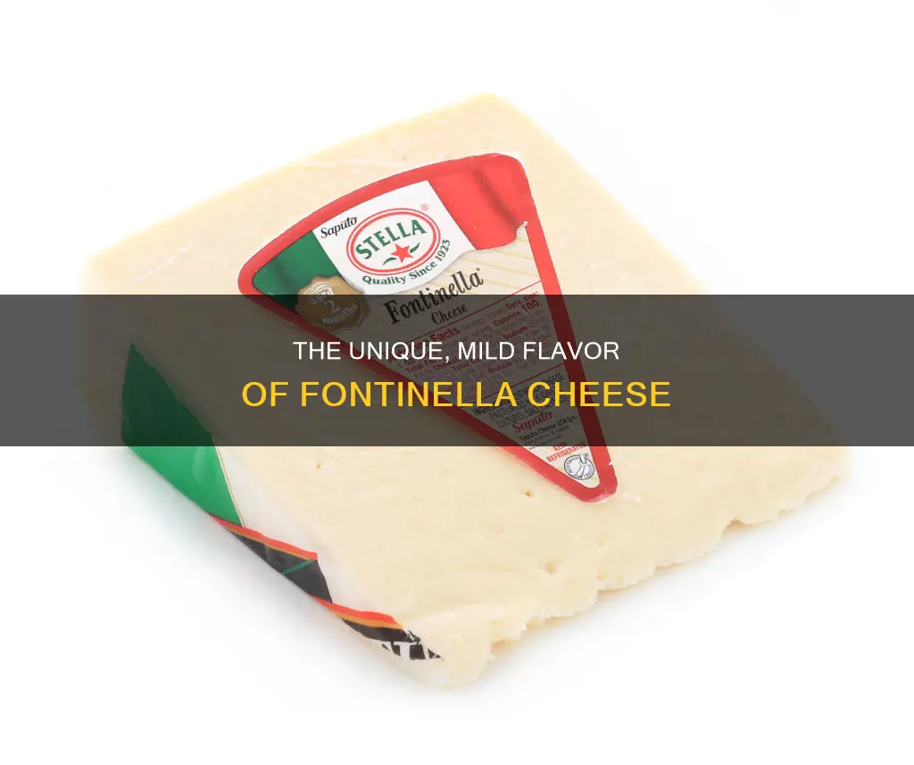 what kind of cheese is fontinella