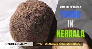 Cheese Varieties in Kerala: A Cultural Culinary Experience