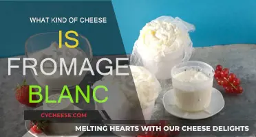 Fromage Blanc: A Fresh, Creamy Cheese Delicacy