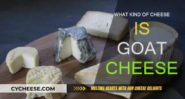 Goat Cheese: A Distinctive Dairy Delicacy