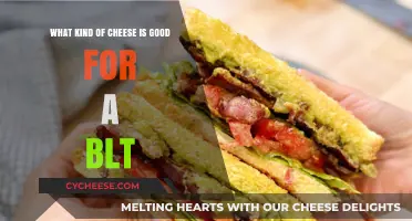 Perfect BLT Cheese Pairings: Elevate Your Sandwich with These Top Picks