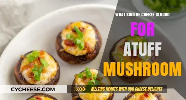 Best Cheeses for Stuffed Mushrooms: Creamy, Melty, and Flavorful Picks