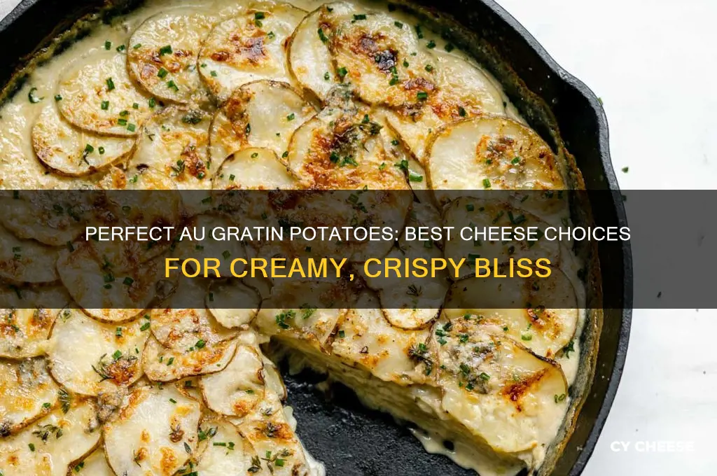 what kind of cheese is good for au gratin potatoes
