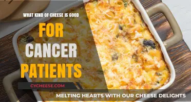 Nutritious Cheese Options to Support Cancer Patients' Health and Recovery