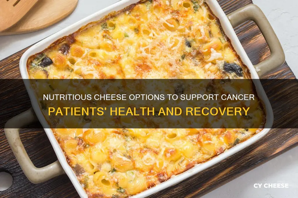 what kind of cheese is good for cancer patients