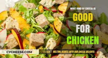 Best Cheeses to Elevate Your Chicken Dishes: A Flavorful Guide