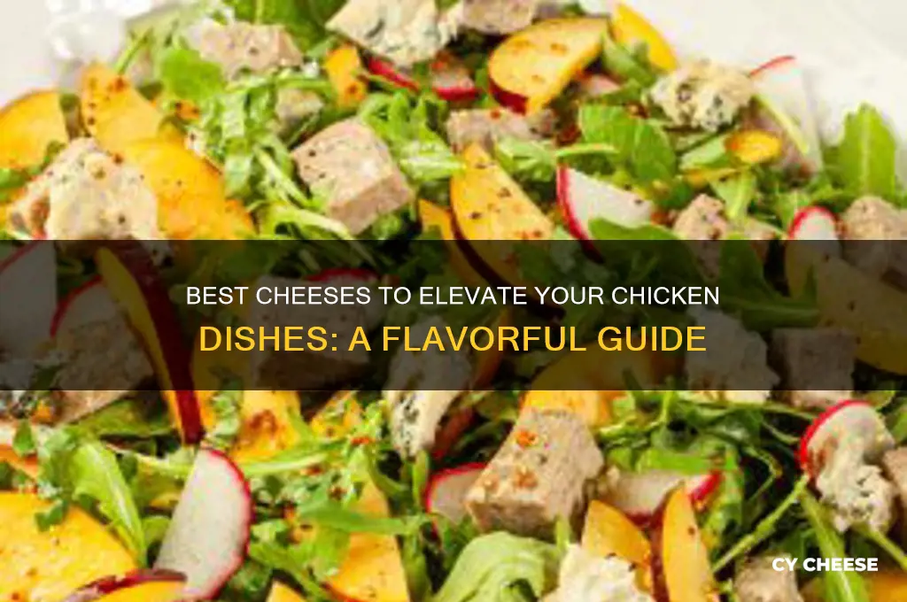 what kind of cheese is good for chicken