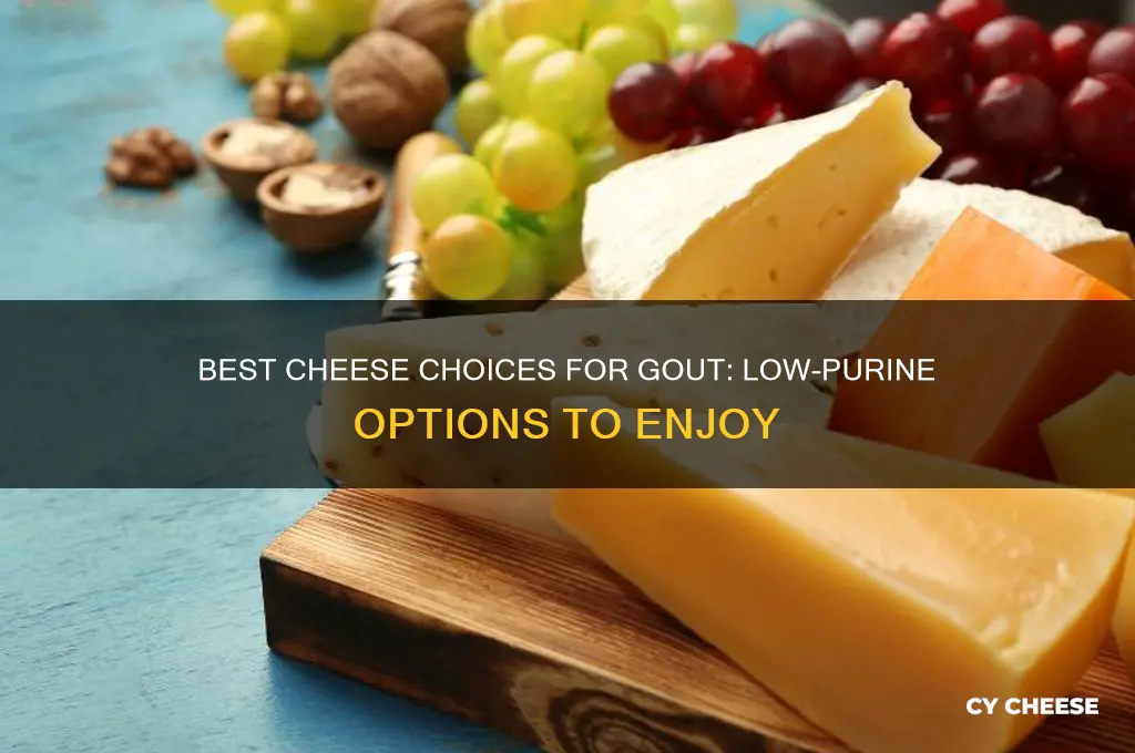 what kind of cheese is good for gout