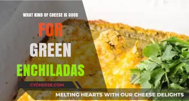 Best Cheeses for Green Enchiladas: Creamy, Melty, and Flavorful Picks