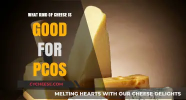 Best Cheese Choices for Managing PCOS Symptoms and Hormonal Balance