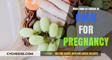 Pregnancy-Safe Cheese Guide: Healthy and Delicious Options for Expecting Moms