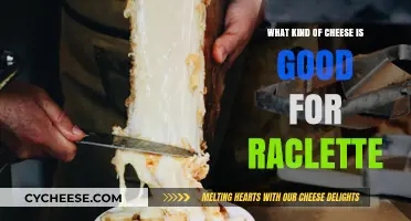 Best Cheeses for Perfect Raclette: Melty, Gooey, and Delicious Picks