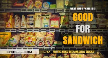 Best Cheeses for Sandwiches: Top Picks for Flavor and Texture