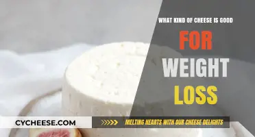 Healthy Cheese Choices to Support Your Weight Loss Journey