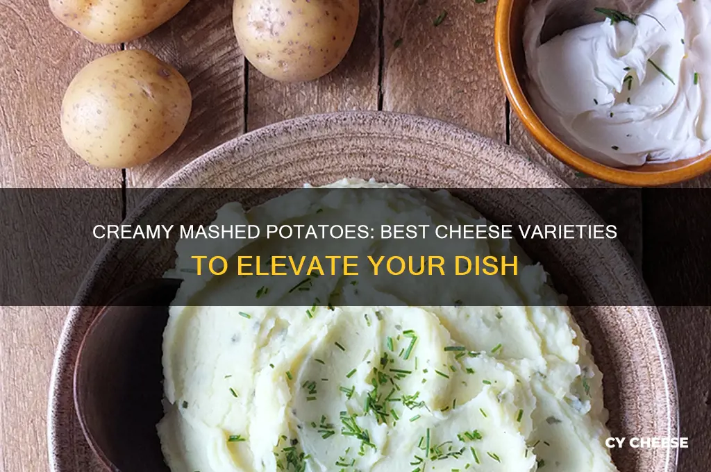 what kind of cheese is good in mashed potatoes