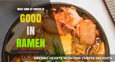 Cheesy Ramen Bliss: Top Cheese Varieties to Elevate Your Bowl