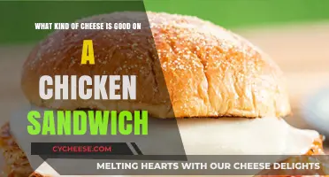 Best Cheeses to Elevate Your Chicken Sandwich Game Instantly