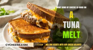 Best Cheeses to Elevate Your Tuna Melt: A Gooey Guide