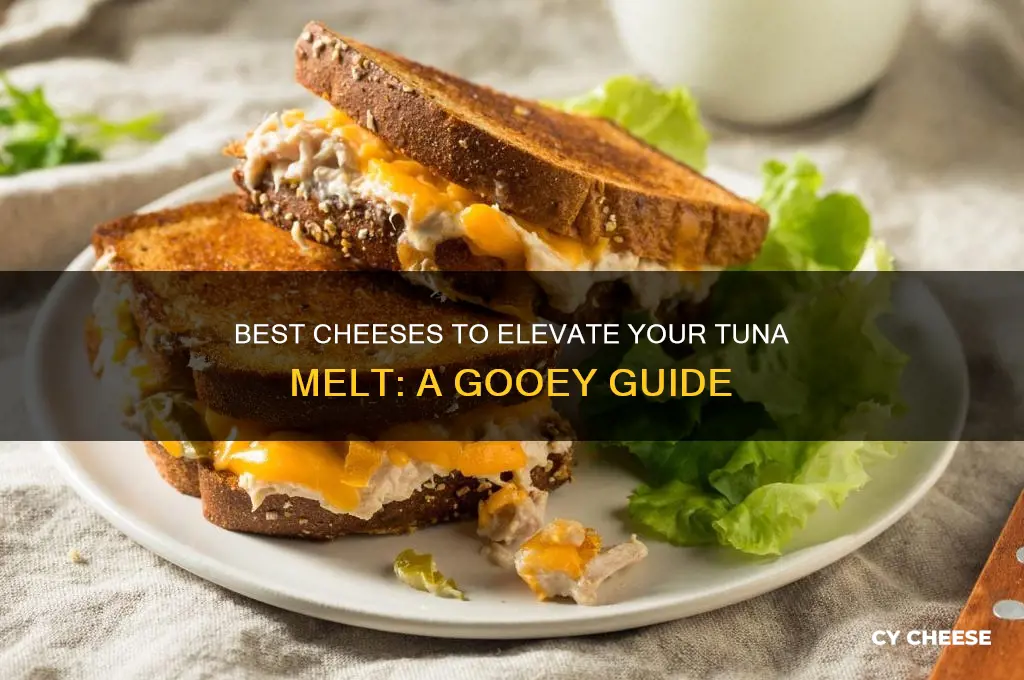 what kind of cheese is good on a tuna melt