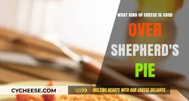 Perfect Cheese Toppings to Elevate Your Shepherd's Pie Experience