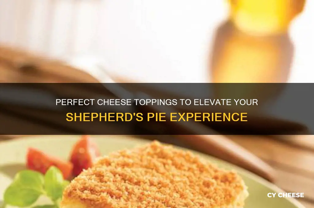 what kind of cheese is good over shepherd